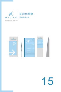 重塑美丽定义，传递专业信赖——美莱医疗美容医院企业形象设计与策划